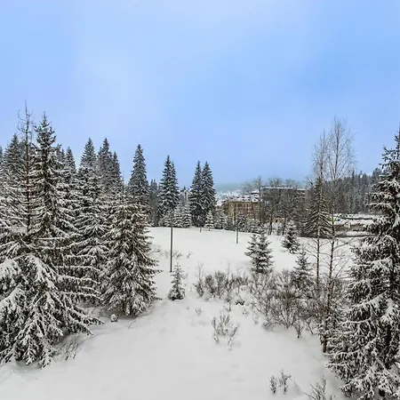 Madison בוקובל